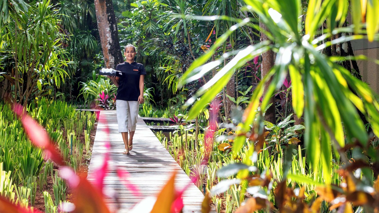 Photo of Others in Anse Boileau