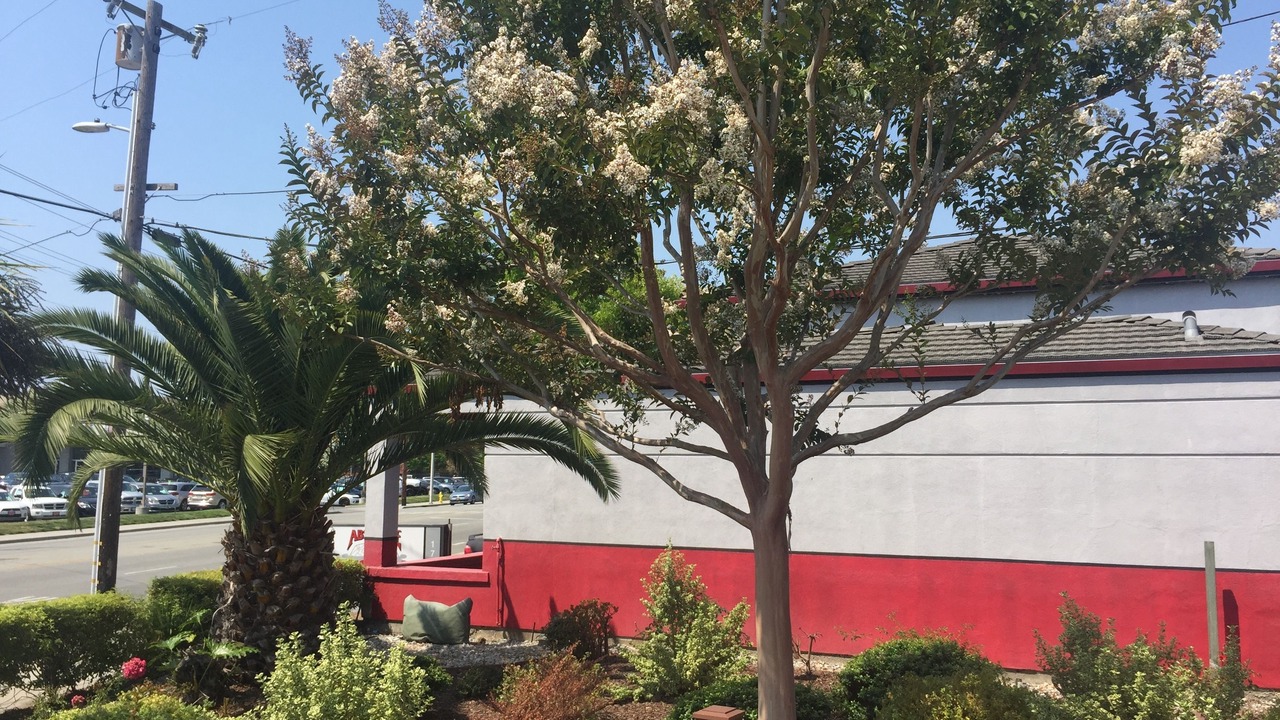 Photo of Outdoor in Eastside Santa Cruz