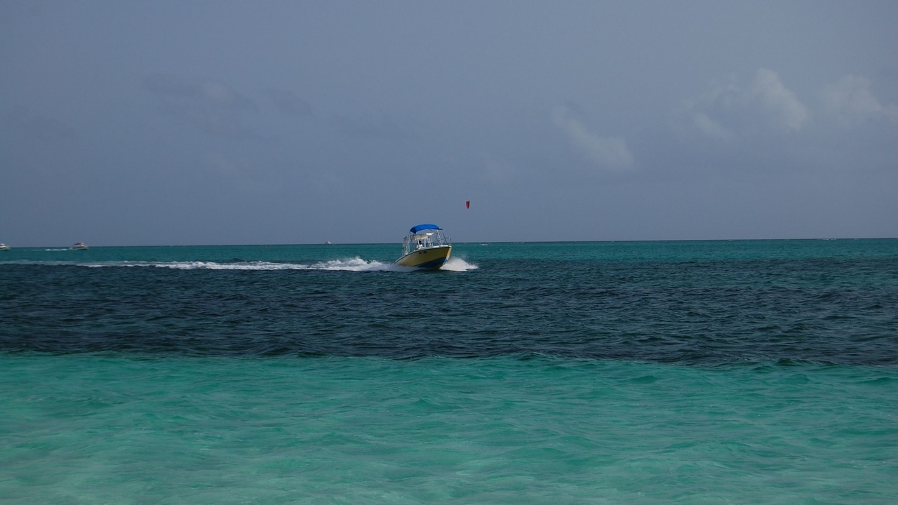 Photo of Others in The Bight