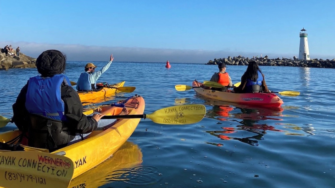 Photo of Others in Westside Santa Cruz