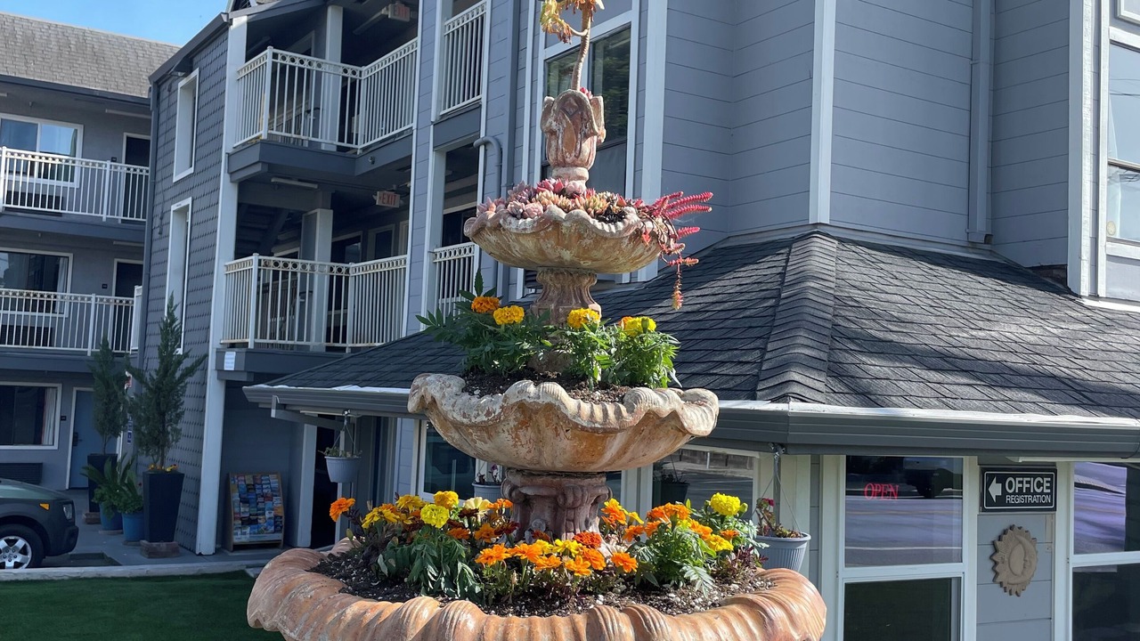 Photo of Outdoor in Westside Santa Cruz