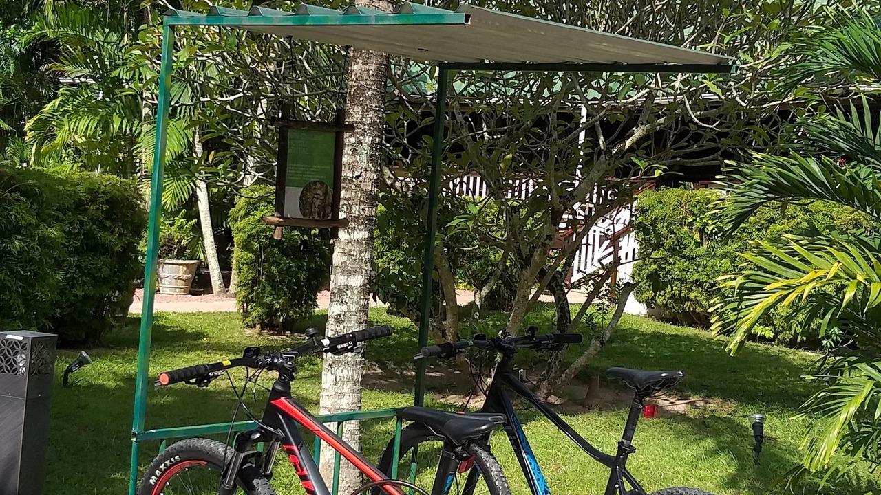 Photo of Outdoor in Praslin Island