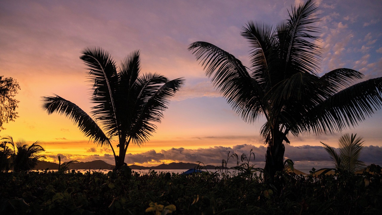 Photo of Outdoor in Praslin Island