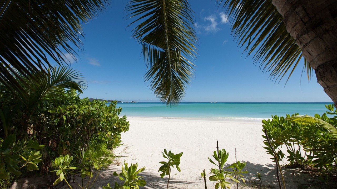 Photo of Others in Praslin Island