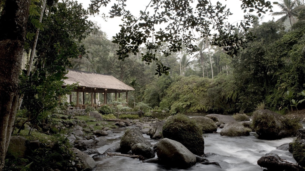 Photo of Others in Ubud