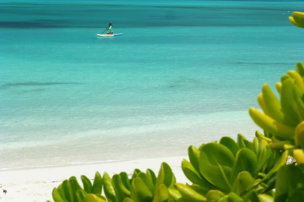 Photo of Others in The Bight
