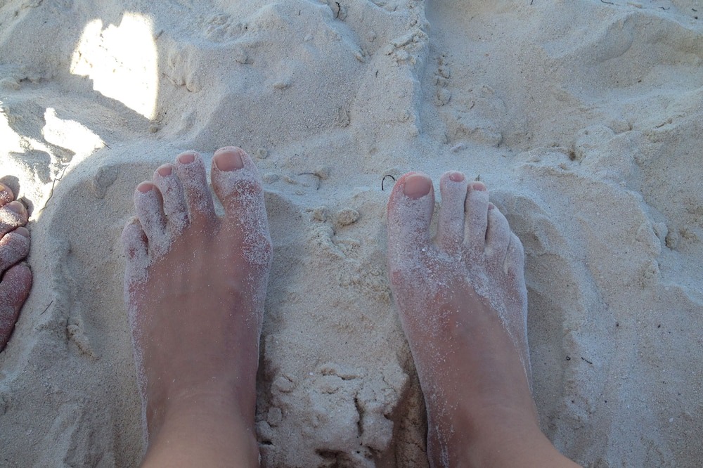 Photo of Others in The Bight