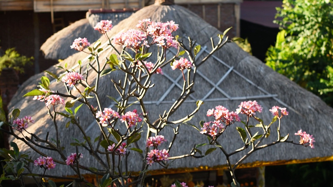Photo of Outdoor in Denpasar Timur