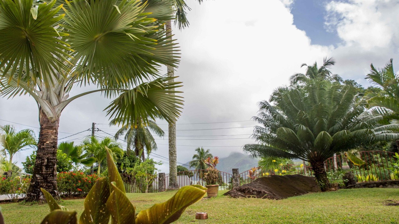 Photo of Outdoor in Mahe Island