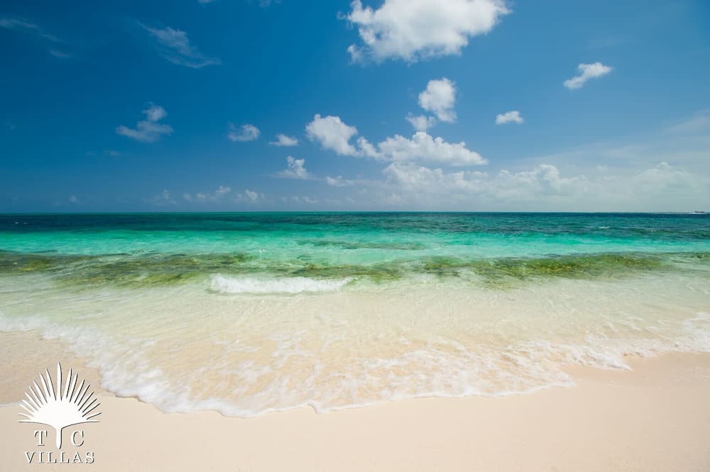 Photo of Others in Providenciales