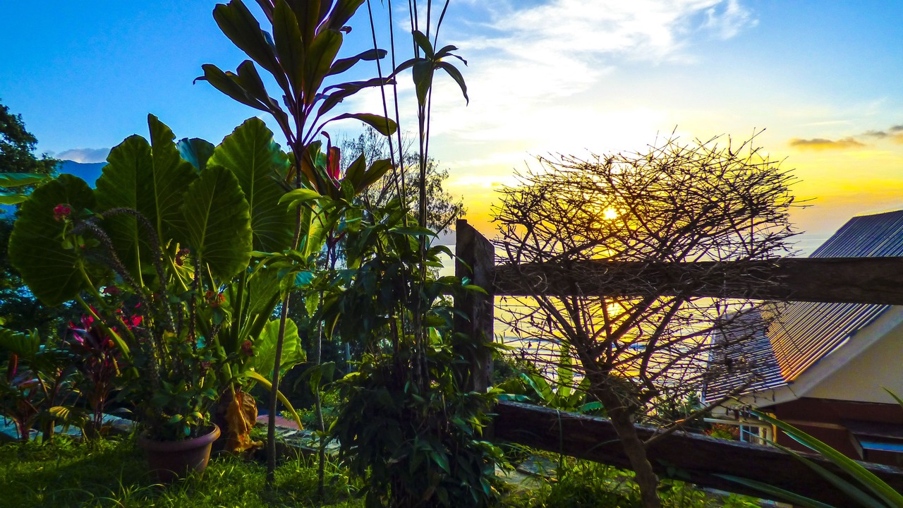 Photo of Outdoor in Mahe Island