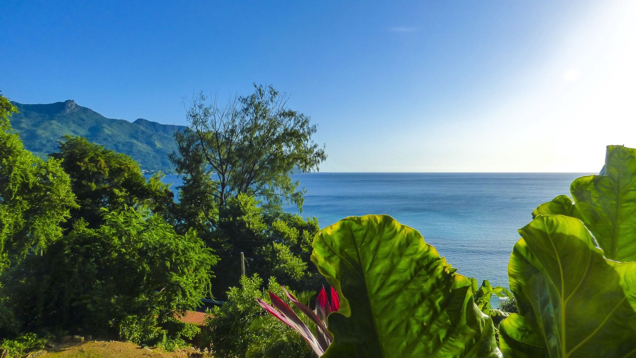 Photo of Others in Mahe Island