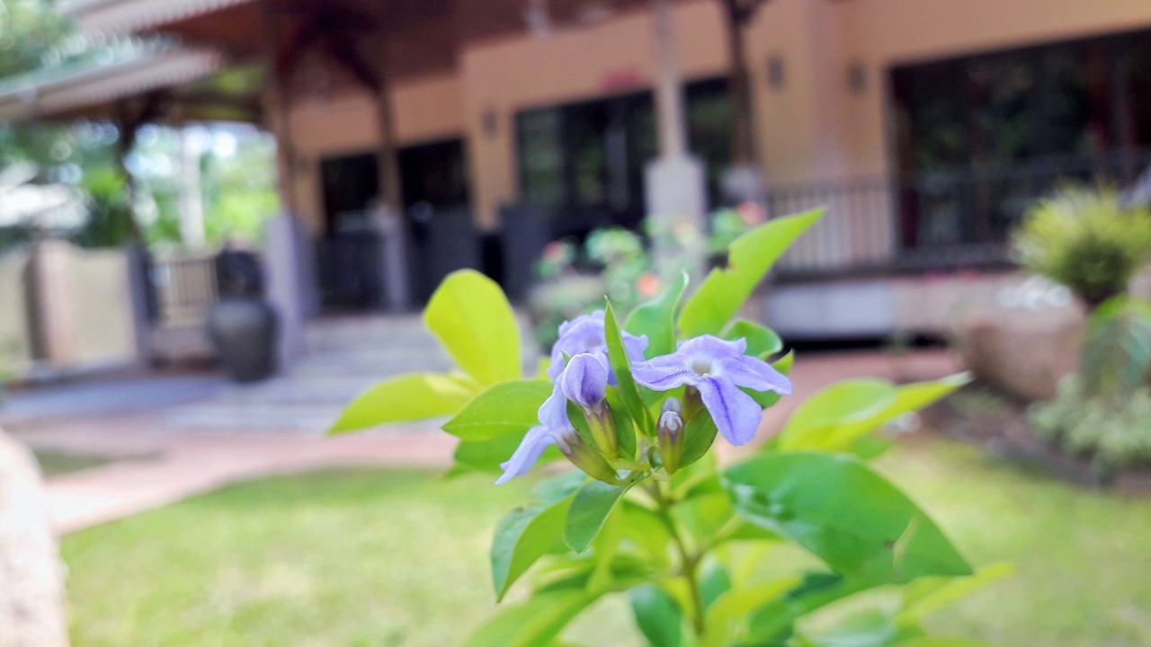 Photo of Outdoor in La Digue