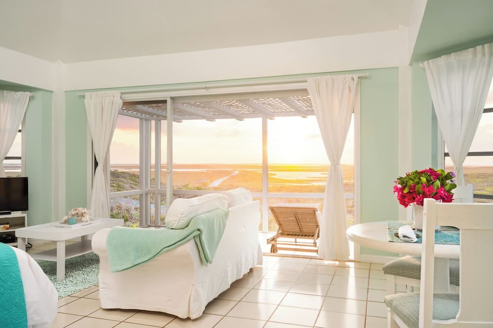Photo of Livingroom in Conch Bar