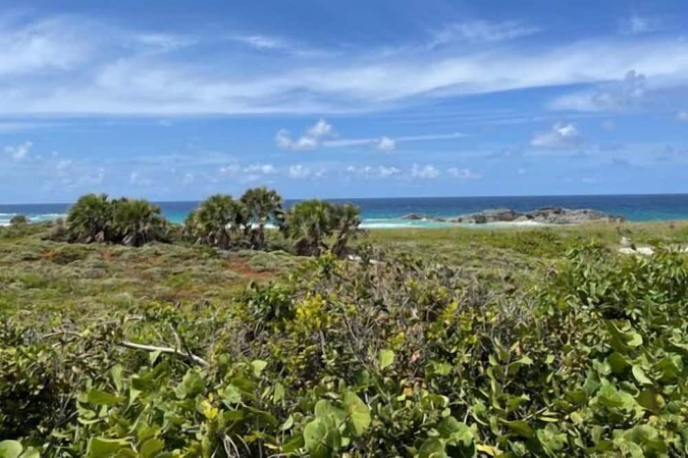 Photo of Outdoor in Conch Bar