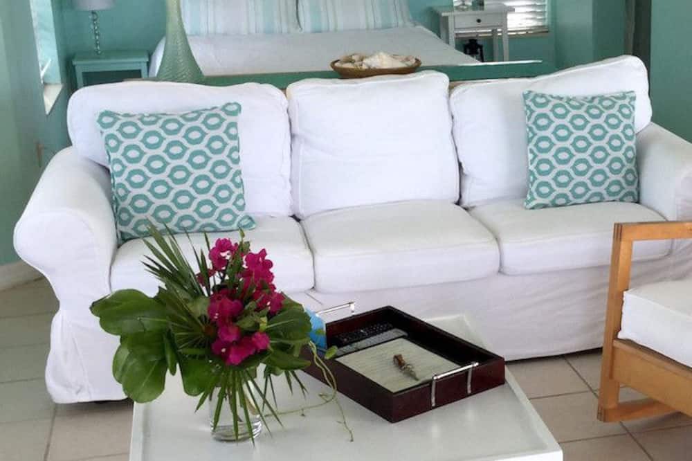 Photo of Livingroom in Conch Bar