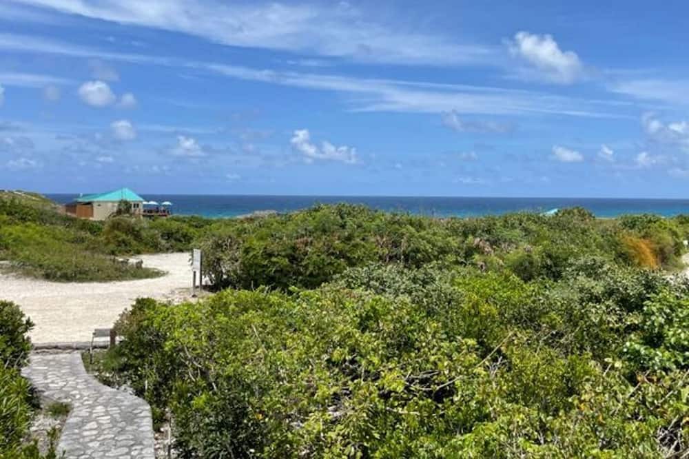 Photo of Outdoor in Conch Bar