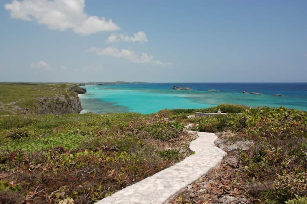 Photo of Others in Conch Bar