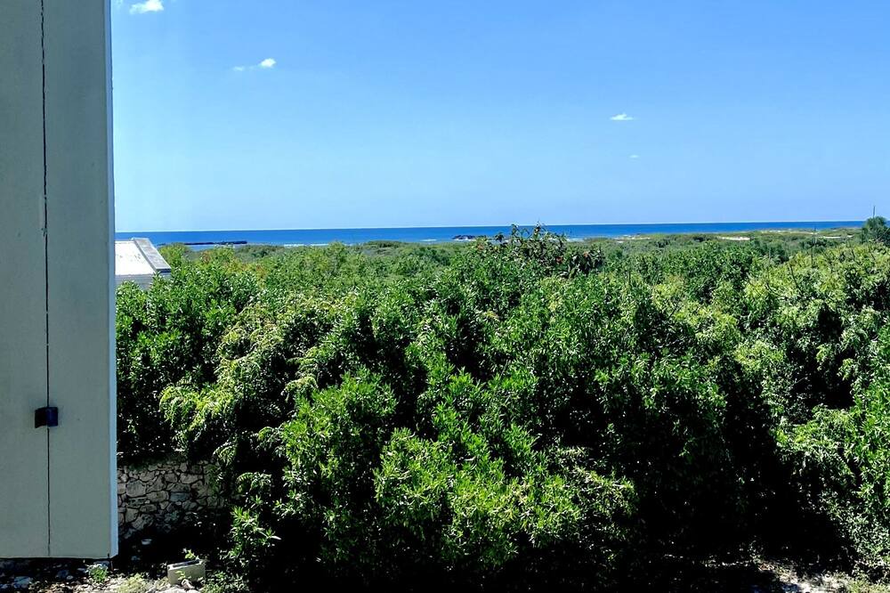 Photo of Others in Salt Cay