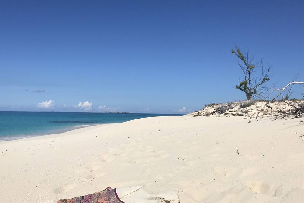 Photo of Others in Salt Cay
