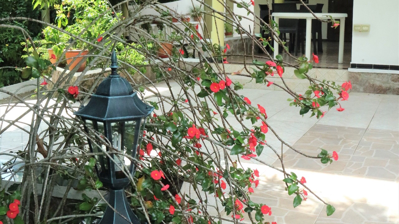 Photo of Outdoor in Beau Vallon