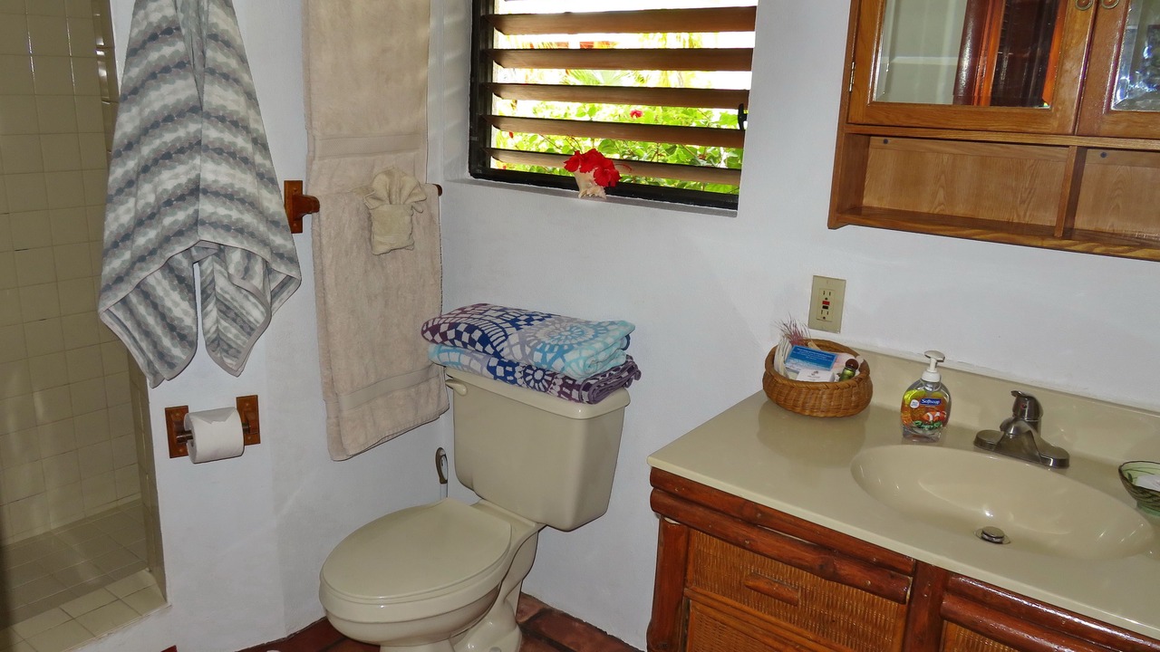 Photo of Bathroom in Venetian Road Settlement