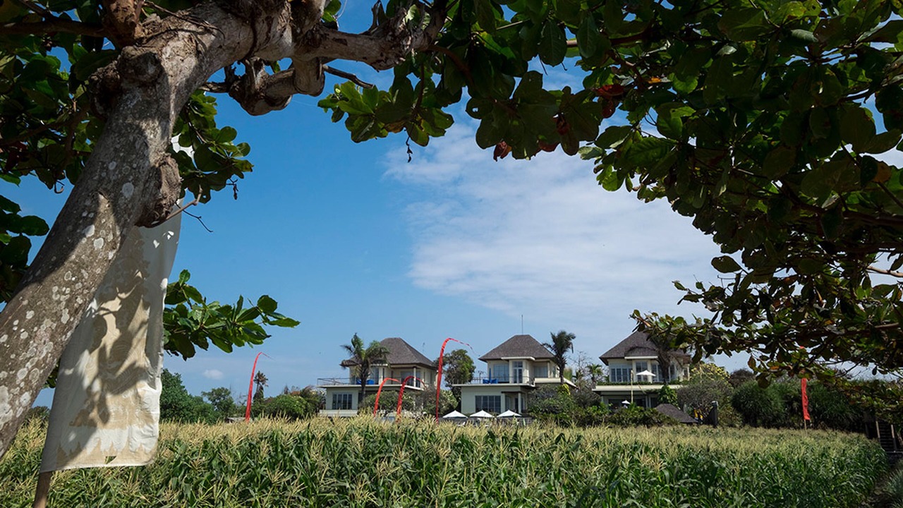 Photo of Outdoor in Kesiman