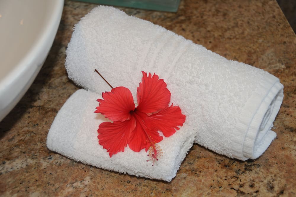 Photo of Bathroom in Eden Island