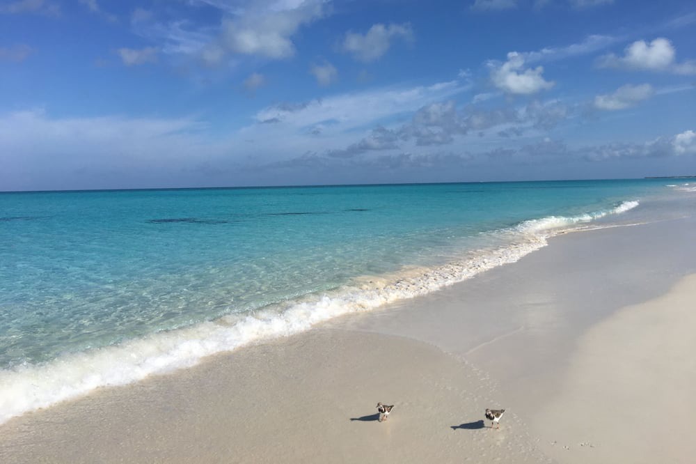 Photo of Others in Grace Bay