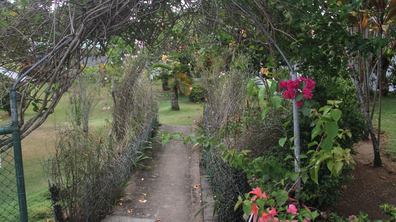 Photo of Outdoor in Bel Ombre