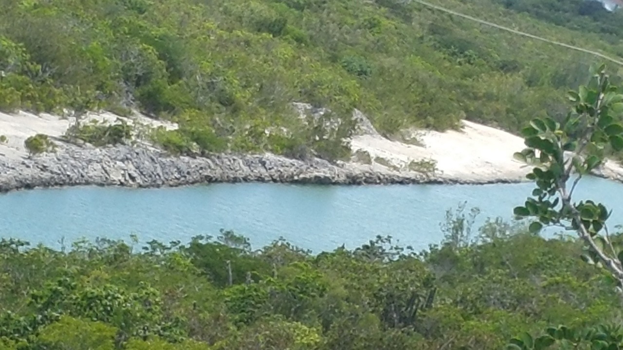 Photo of Outdoor in Discovery Bay