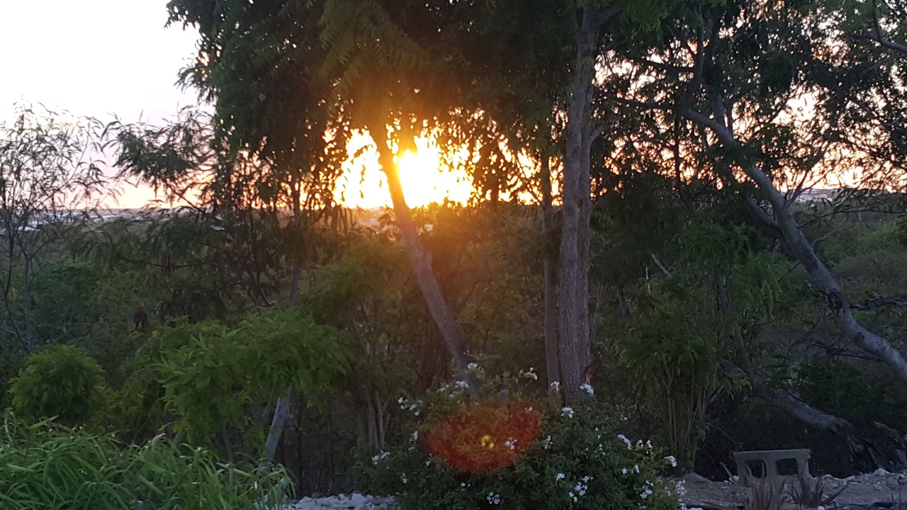 Photo of Outdoor in Discovery Bay