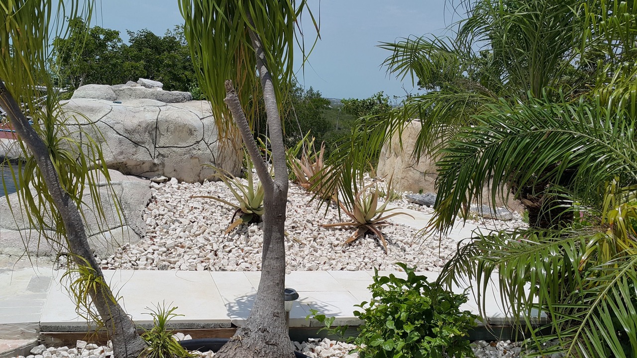 Photo of Outdoor in Discovery Bay
