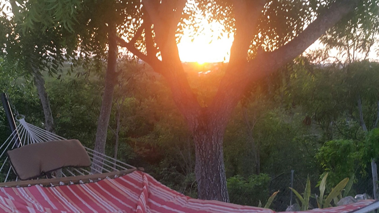 Photo of Outdoor in Discovery Bay