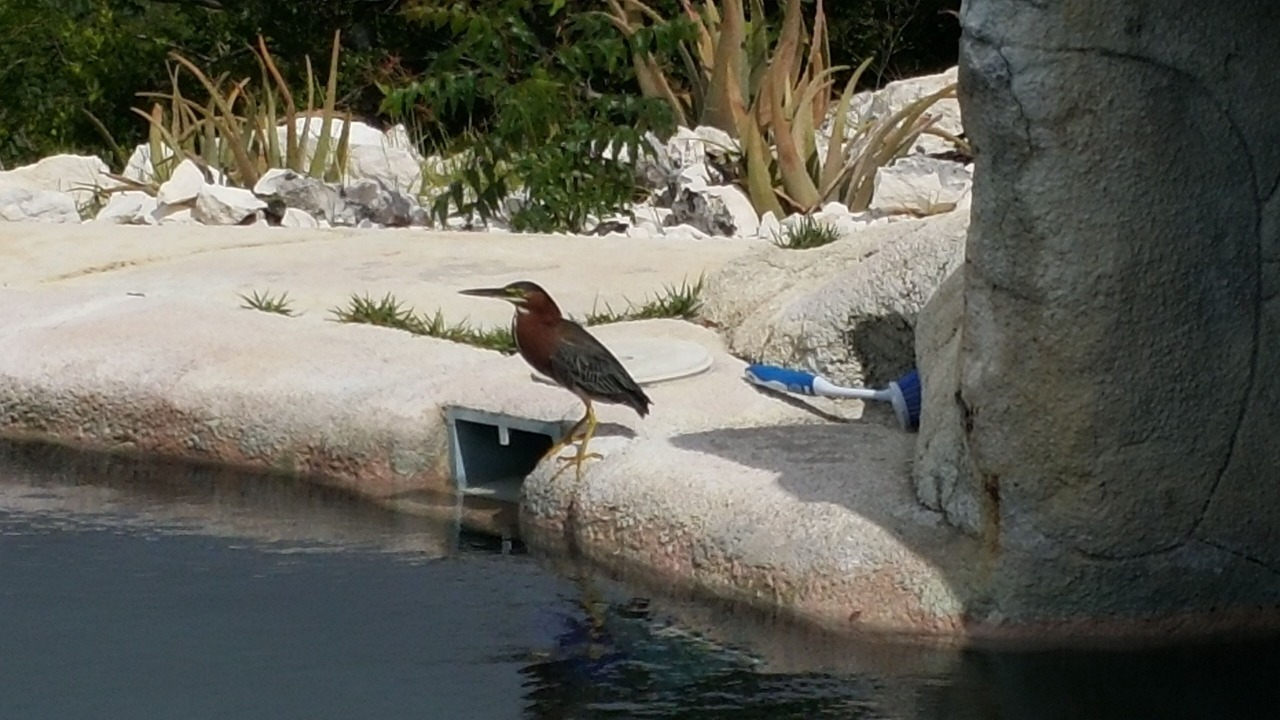 Photo of Outdoor in Discovery Bay