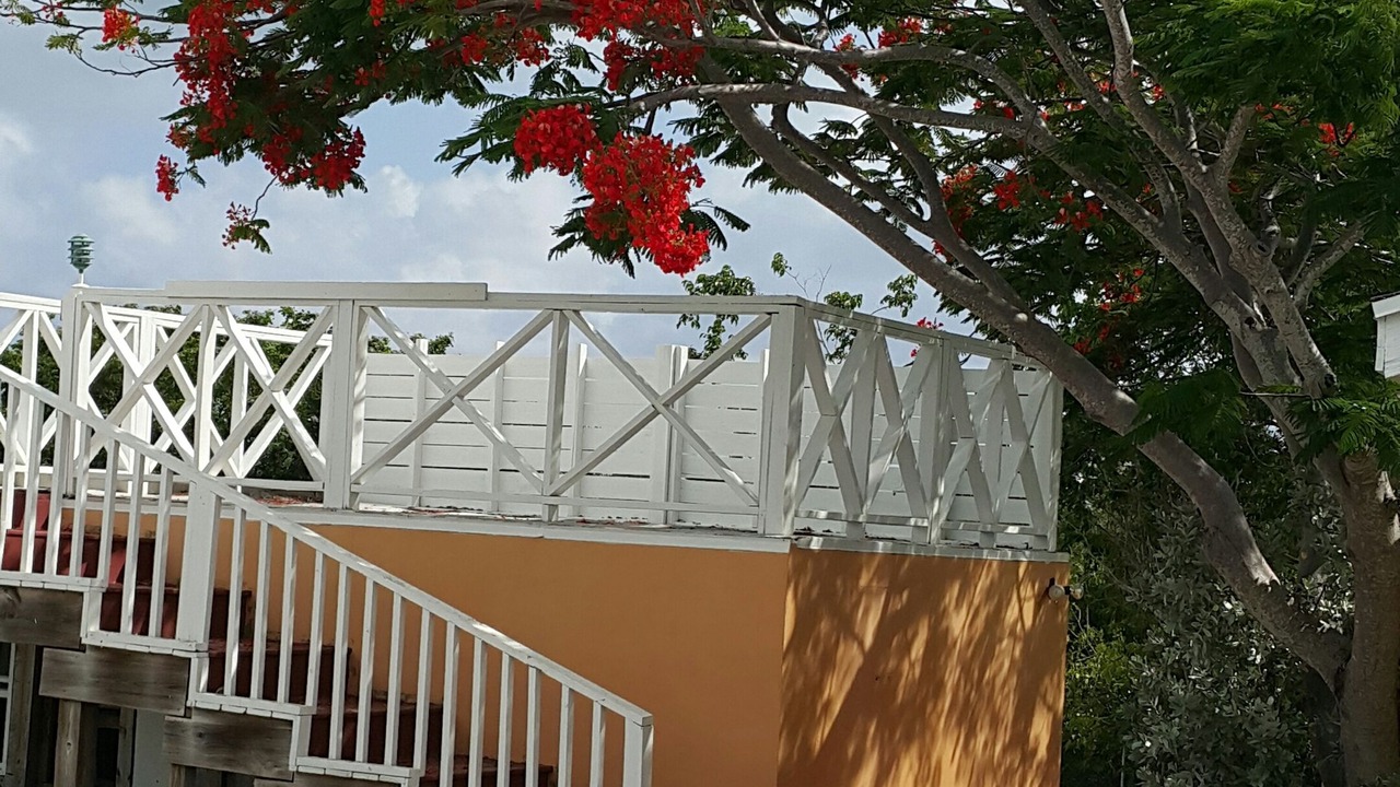 Photo of Outdoor in Discovery Bay