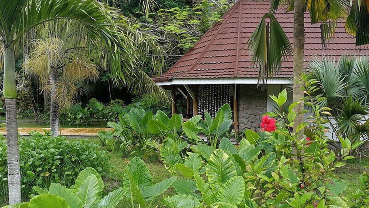 Photo of Outdoor in Grand Anse