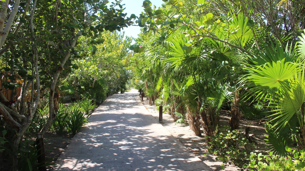 Photo of Outdoor in Playa Mujeres