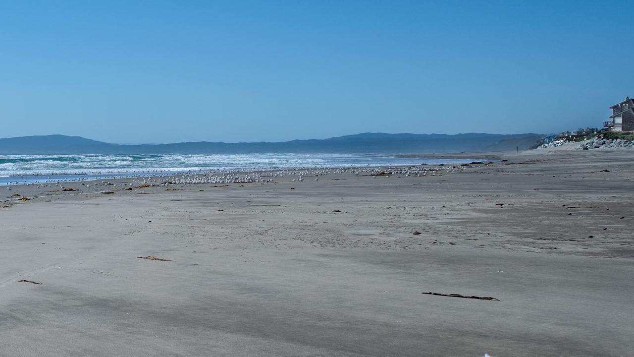 Photo of Others in Watsonville