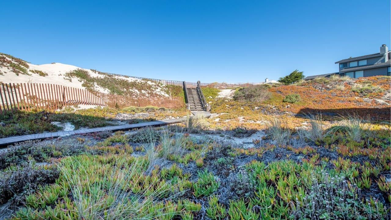 Photo of Outdoor in Watsonville