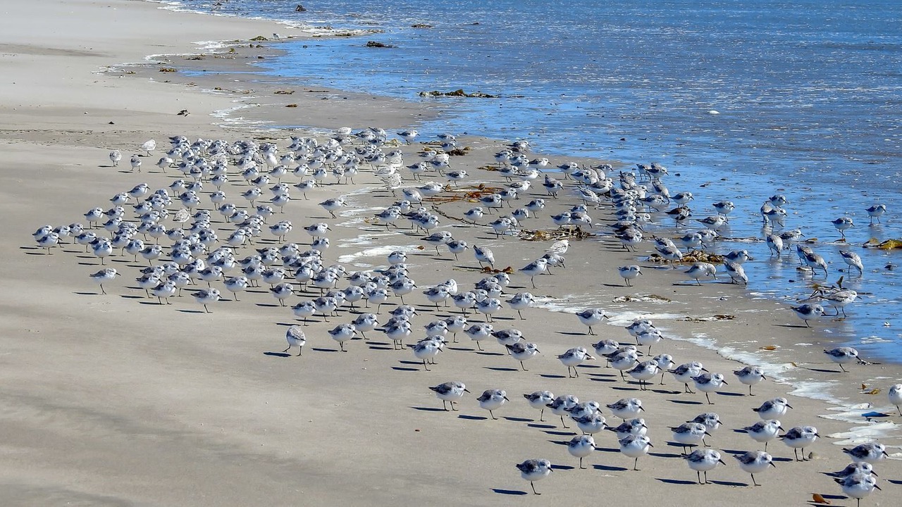 Photo of Others in Watsonville