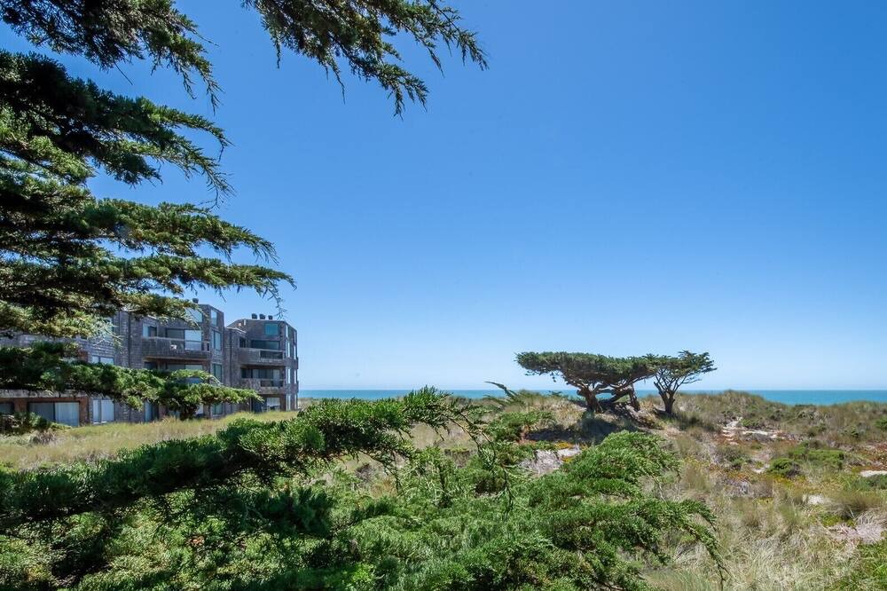 Photo of Others in Pajaro Dunes
