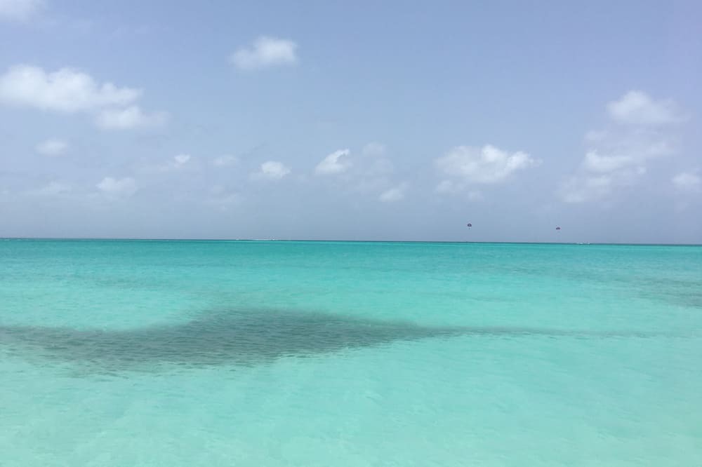 Photo of Others in Leeward Settlement