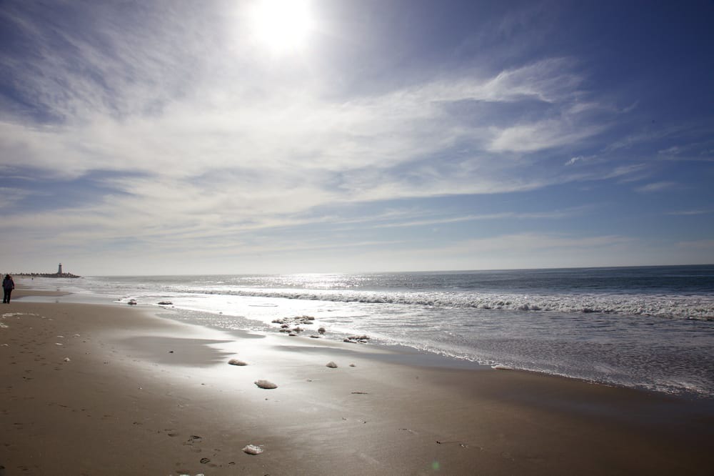 Photo of Others in Seabright