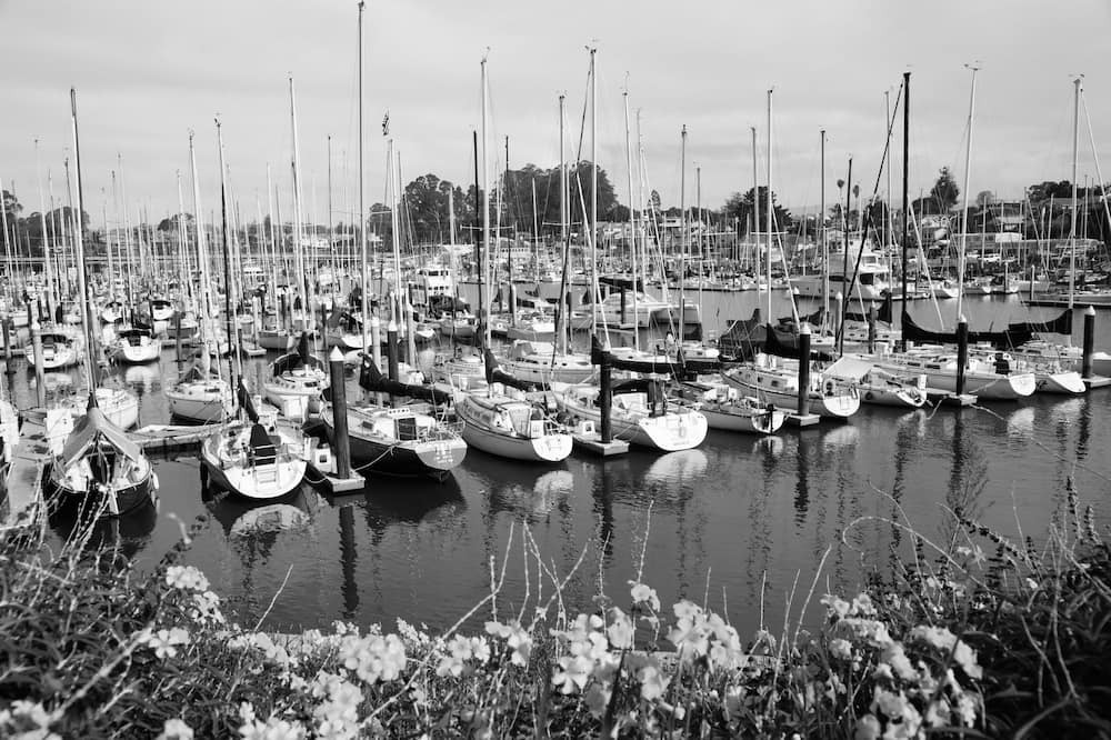Photo of Others in Seabright