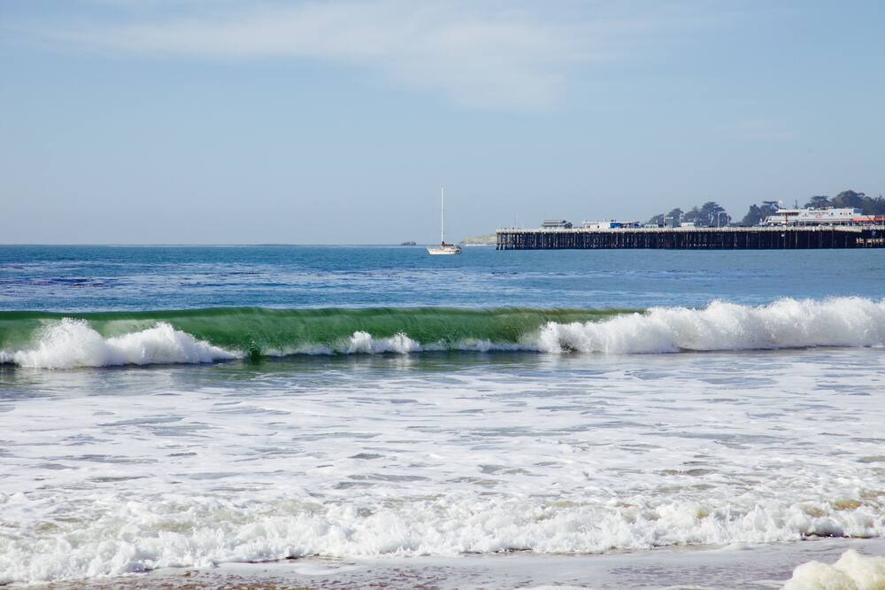 Photo of Others in Seabright