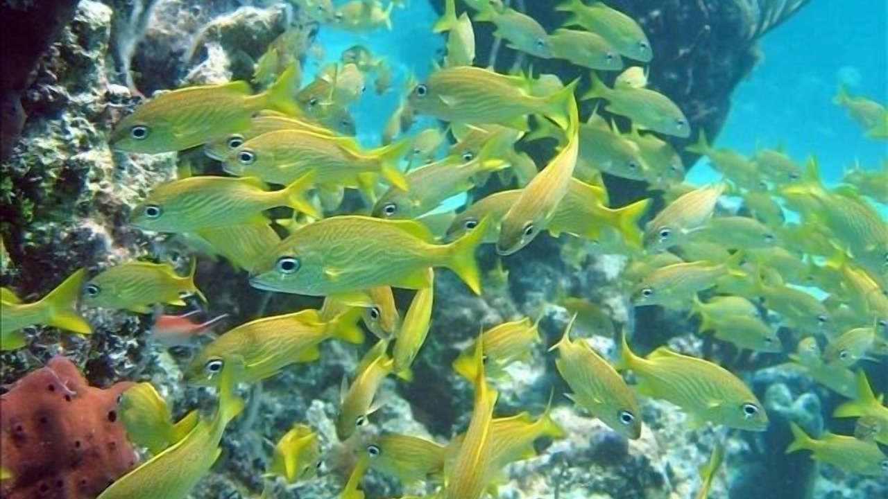 Photo of Outdoor in The Bight
