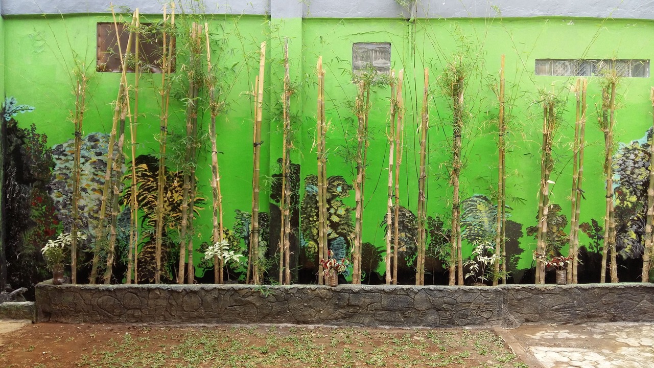 Photo of Outdoor in Teuku Umar