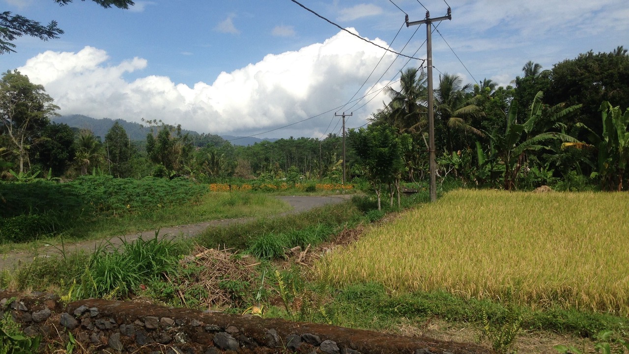 Photo of Outdoor in Selat