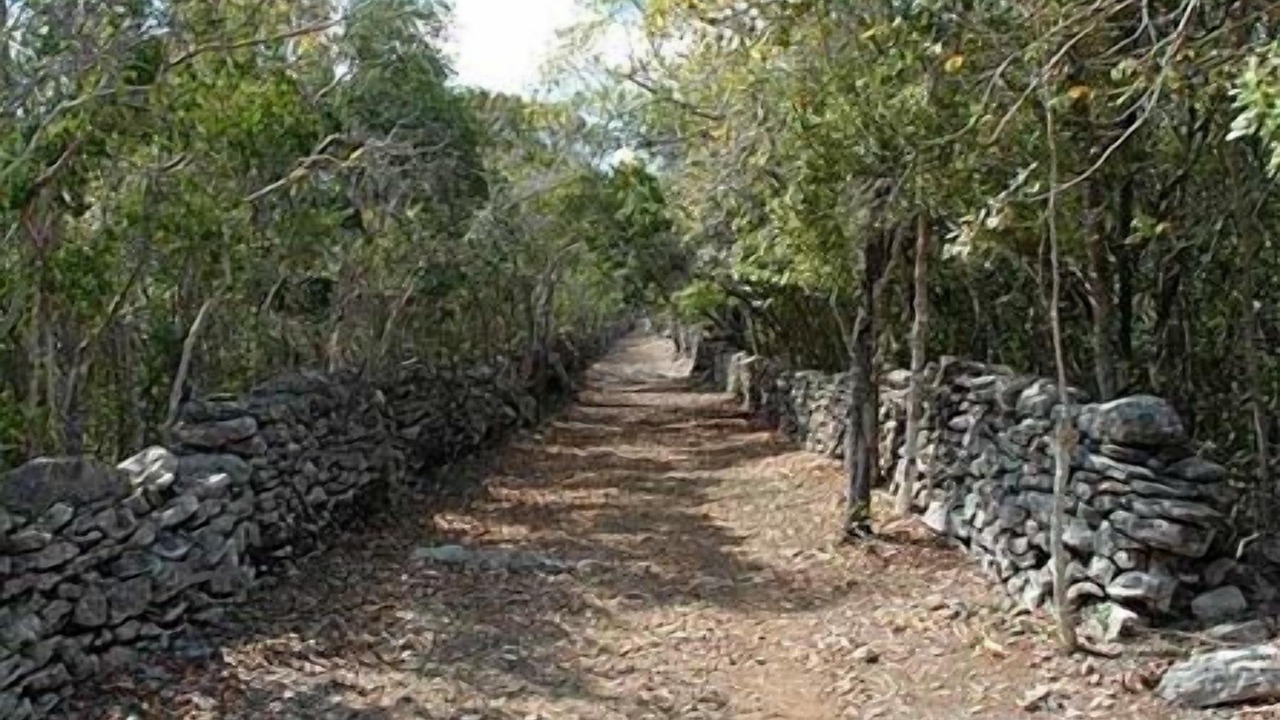 Photo of Outdoor in Sandy Point